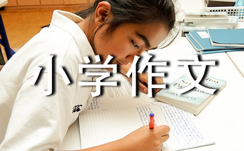 ���Z����С�W(xu��)���ĺϼ�10ƪ