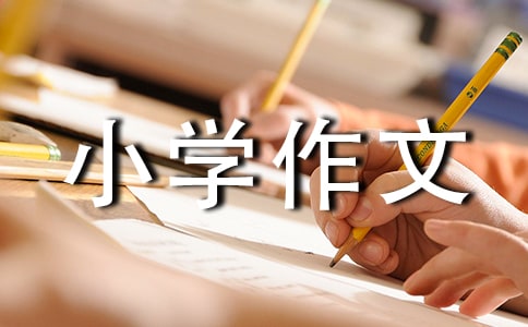 2015�W�����꼉С�W�����u�Z���\