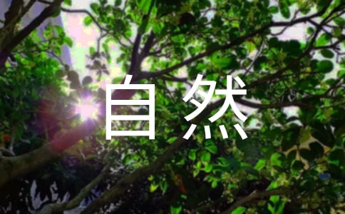 關于現代自然科學成就的新社會哲學范式的構想