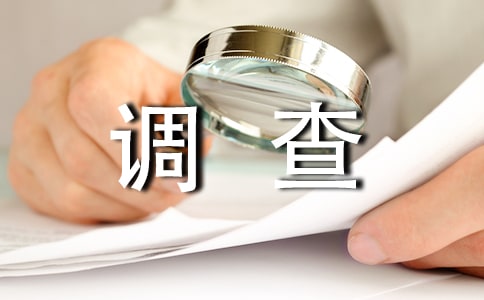 實用的調查報告作文300字4篇