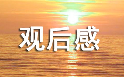 交通安全觀后感作文范文