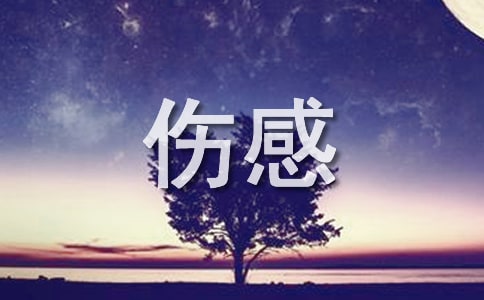 ���еĽ�����~�����x20�ף�