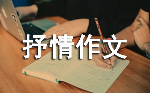 ���g̎̎������-��������